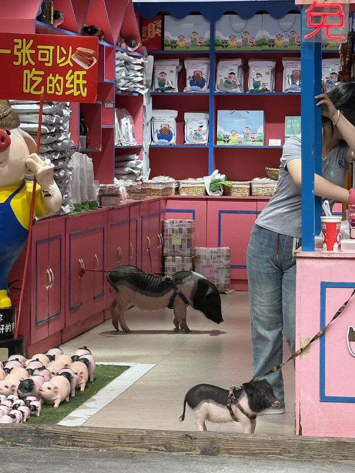 After Visiting Nearly 70 Countries, This Traveler Found China Unlike Anywhere Else (33 Pics)