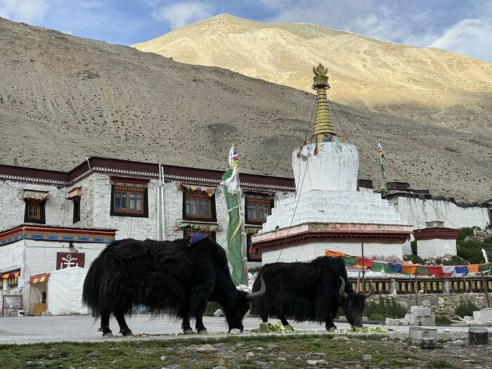 After Visiting Nearly 70 Countries, This Traveler Found China Unlike Anywhere Else (33 Pics)