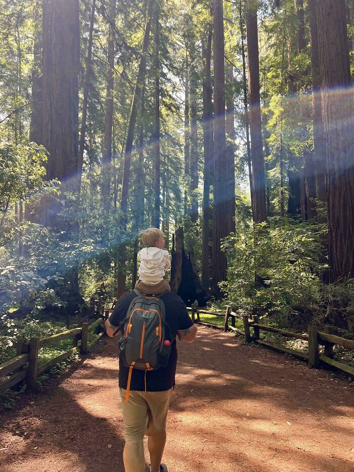 46 Posts That Sum Up The Wholesome And Fun Side Of Being A Dad (New Pics)