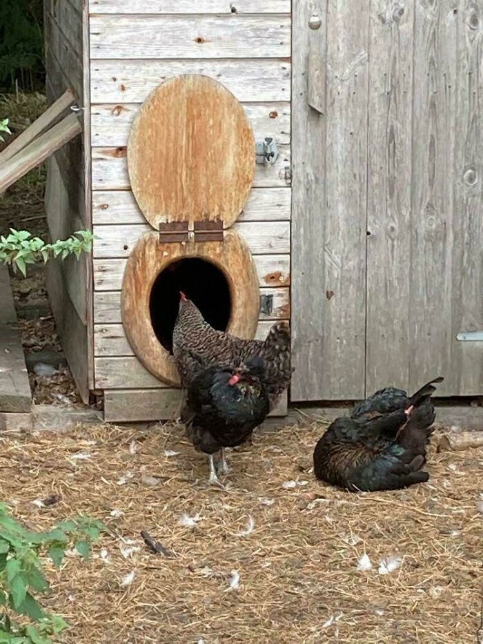 &ldquo;My Husband Hates It&rdquo;: 85 Unexpected Things People Made Out Of Things That Would&rsquo;ve Been Thrown Away (New Pics)