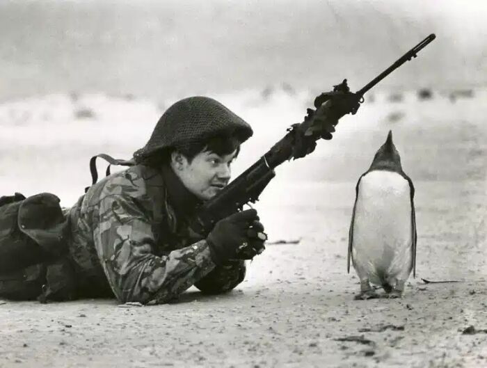 91 Historical Photos That Feel Almost Impossible To Explain
