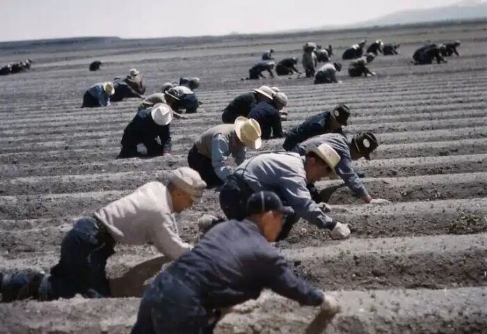 91 Historical Photos That Feel Almost Impossible To Explain
