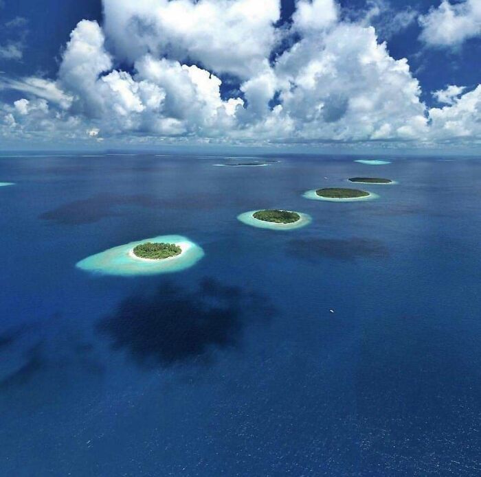 111 Fascinating Facts And Stories You Probably Haven’t Heard Before