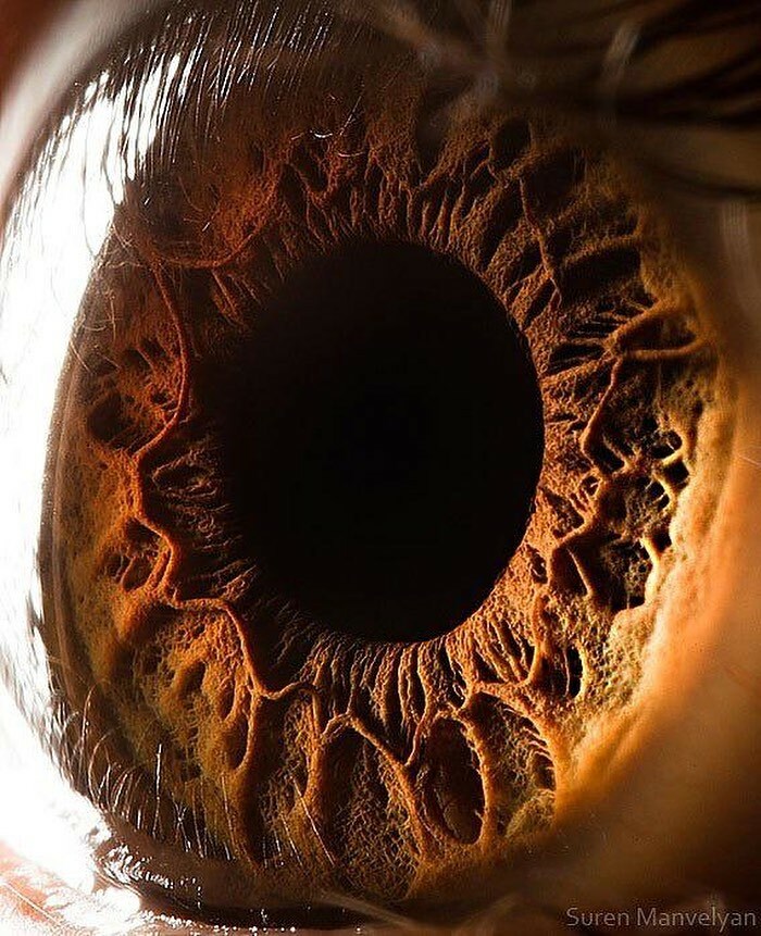 111 Fascinating Facts And Stories You Probably Haven’t Heard Before