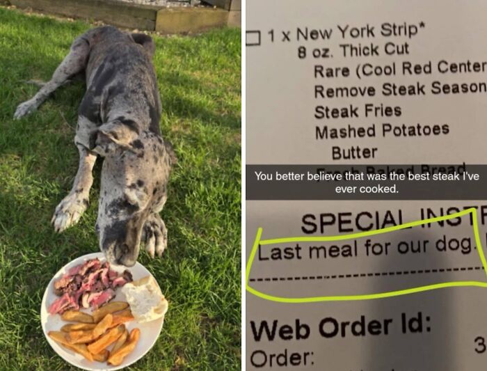 111 Fascinating Facts And Stories You Probably Haven’t Heard Before