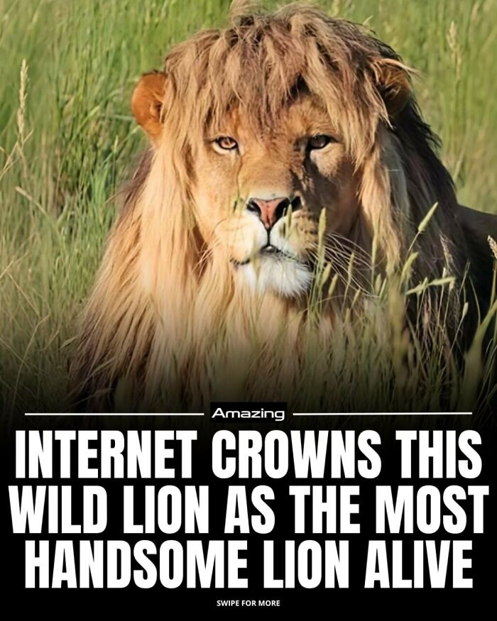111 Fascinating Facts And Stories You Probably Haven’t Heard Before