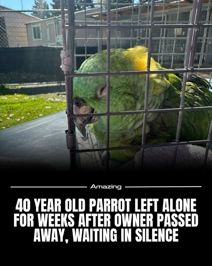 111 Fascinating Facts And Stories You Probably Haven’t Heard Before