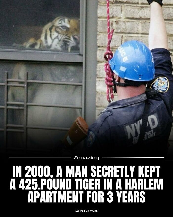 111 Fascinating Facts And Stories You Probably Haven’t Heard Before