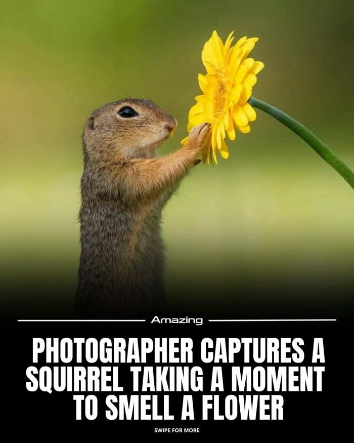 111 Fascinating Facts And Stories You Probably Haven’t Heard Before