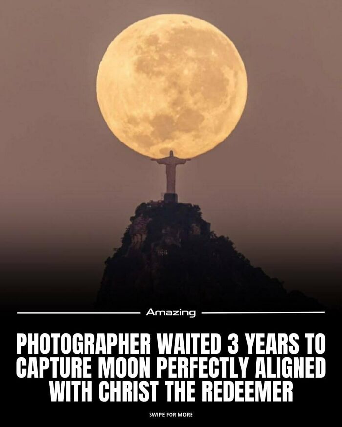 111 Fascinating Facts And Stories You Probably Haven’t Heard Before