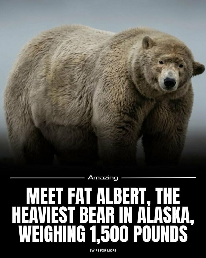 111 Fascinating Facts And Stories You Probably Haven’t Heard Before