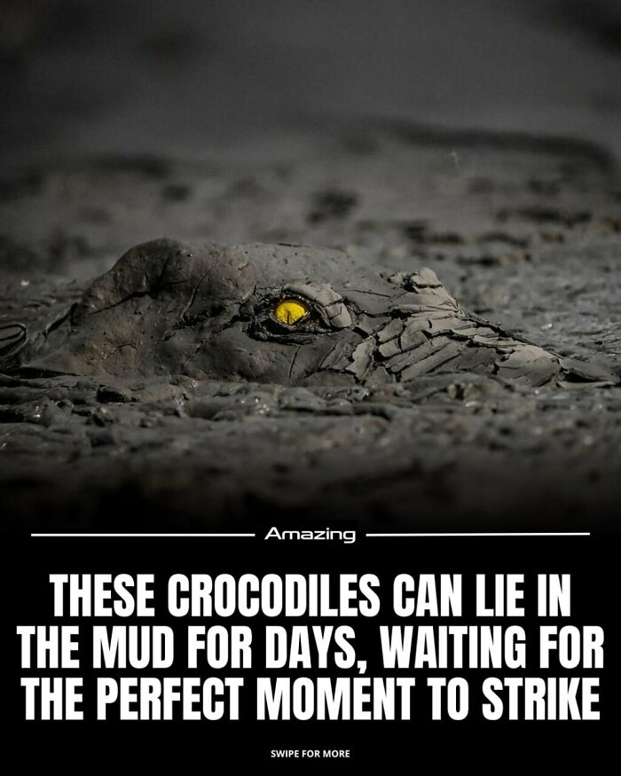 111 Fascinating Facts And Stories You Probably Haven’t Heard Before