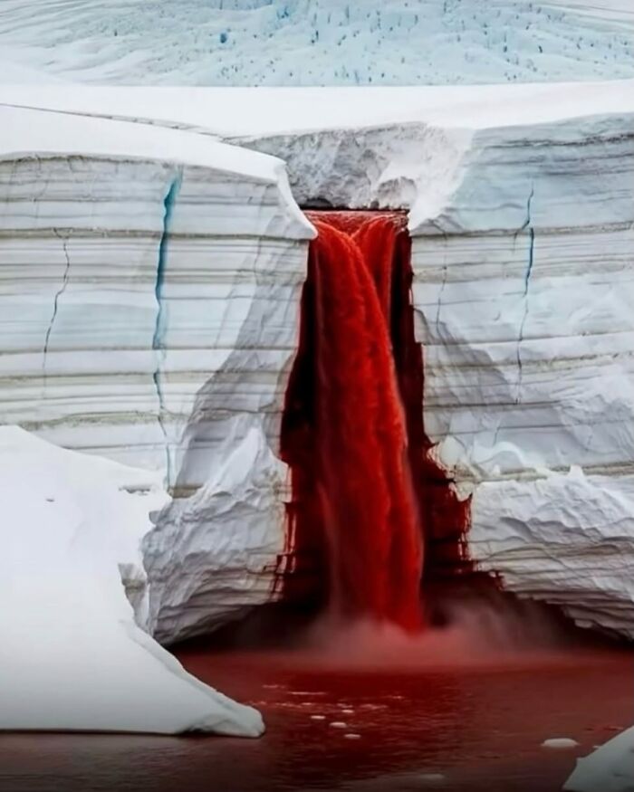 111 Fascinating Facts And Stories You Probably Haven’t Heard Before