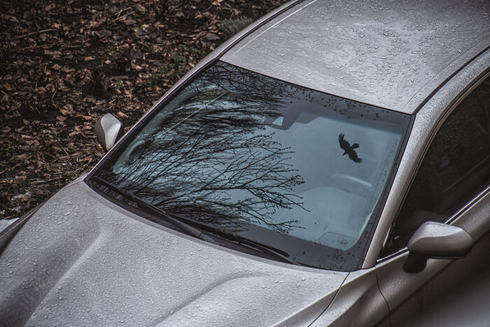 30 Mind-Boggling Unsolved Mysteries That Puzzled People For Years Until They Were Solved