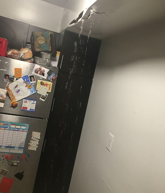 64 Horrible Roommates Who Somehow Passed The Vibe Check Before Move-In Day And Failed Soon After
