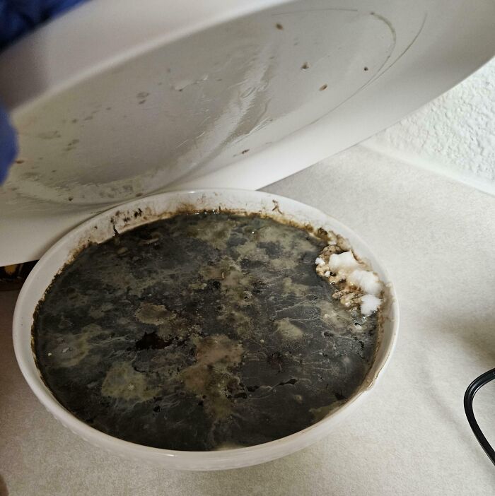 64 Horrible Roommates Who Somehow Passed The Vibe Check Before Move-In Day And Failed Soon After