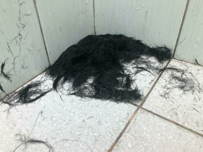 64 Horrible Roommates Who Somehow Passed The Vibe Check Before Move-In Day And Failed Soon After