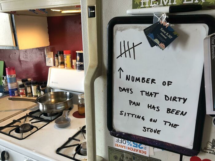 64 Horrible Roommates Who Somehow Passed The Vibe Check Before Move-In Day And Failed Soon After