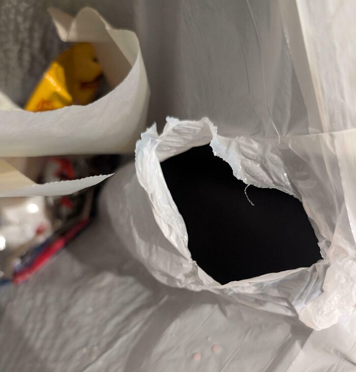 64 Horrible Roommates Who Somehow Passed The Vibe Check Before Move-In Day And Failed Soon After