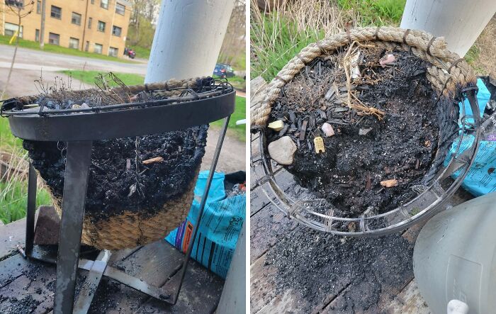 64 Horrible Roommates Who Somehow Passed The Vibe Check Before Move-In Day And Failed Soon After