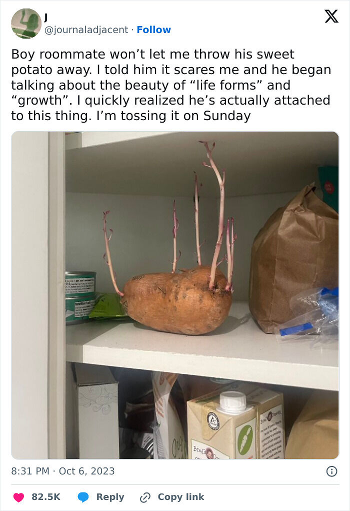 64 Horrible Roommates Who Somehow Passed The Vibe Check Before Move-In Day And Failed Soon After