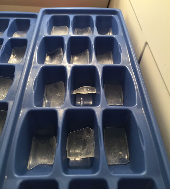 64 Horrible Roommates Who Somehow Passed The Vibe Check Before Move-In Day And Failed Soon After