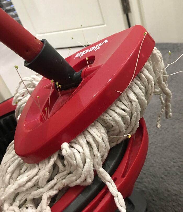 64 Horrible Roommates Who Somehow Passed The Vibe Check Before Move-In Day And Failed Soon After