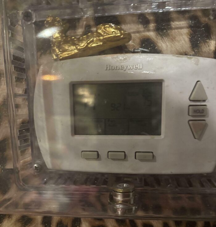 64 Horrible Roommates Who Somehow Passed The Vibe Check Before Move-In Day And Failed Soon After