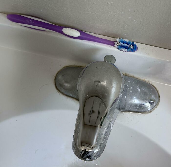 64 Horrible Roommates Who Somehow Passed The Vibe Check Before Move-In Day And Failed Soon After