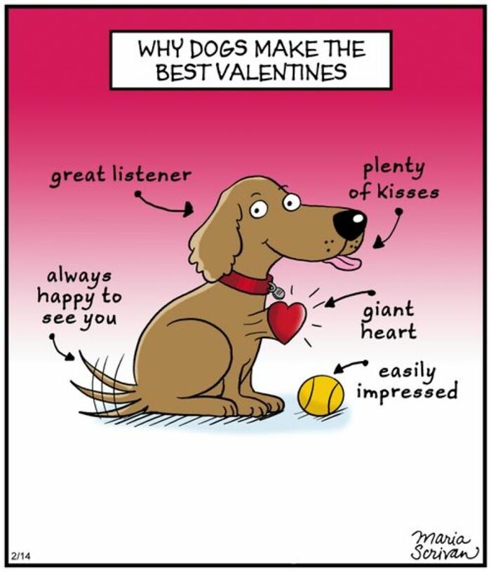 If You Have A Dog, These 42 Comics By Maria Scrivan Might Feel Surprisingly Familiar