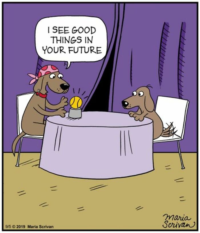 If You Have A Dog, These 42 Comics By Maria Scrivan Might Feel Surprisingly Familiar
