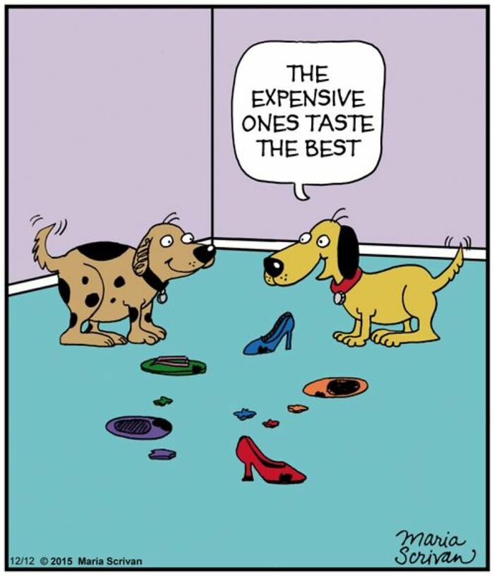 If You Have A Dog, These 42 Comics By Maria Scrivan Might Feel Surprisingly Familiar