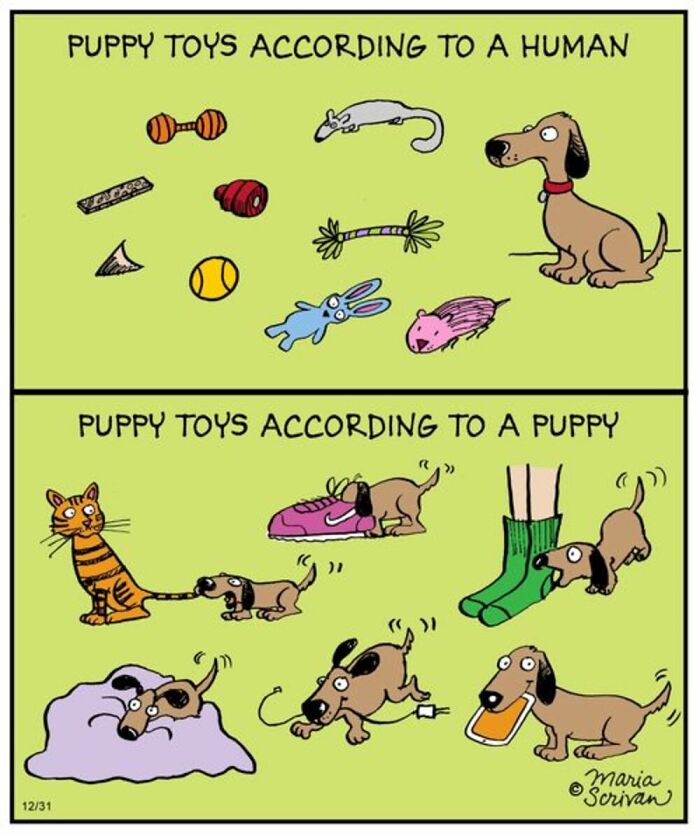 If You Have A Dog, These 42 Comics By Maria Scrivan Might Feel Surprisingly Familiar