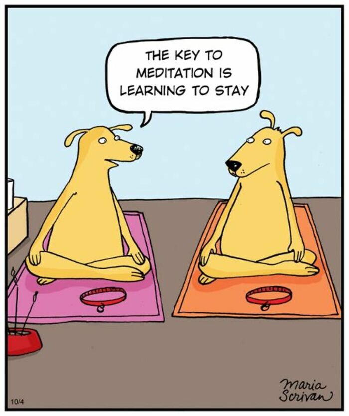 If You Have A Dog, These 42 Comics By Maria Scrivan Might Feel Surprisingly Familiar