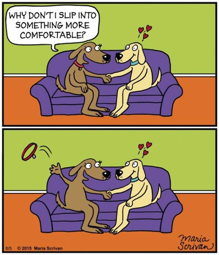 If You Have A Dog, These 42 Comics By Maria Scrivan Might Feel Surprisingly Familiar