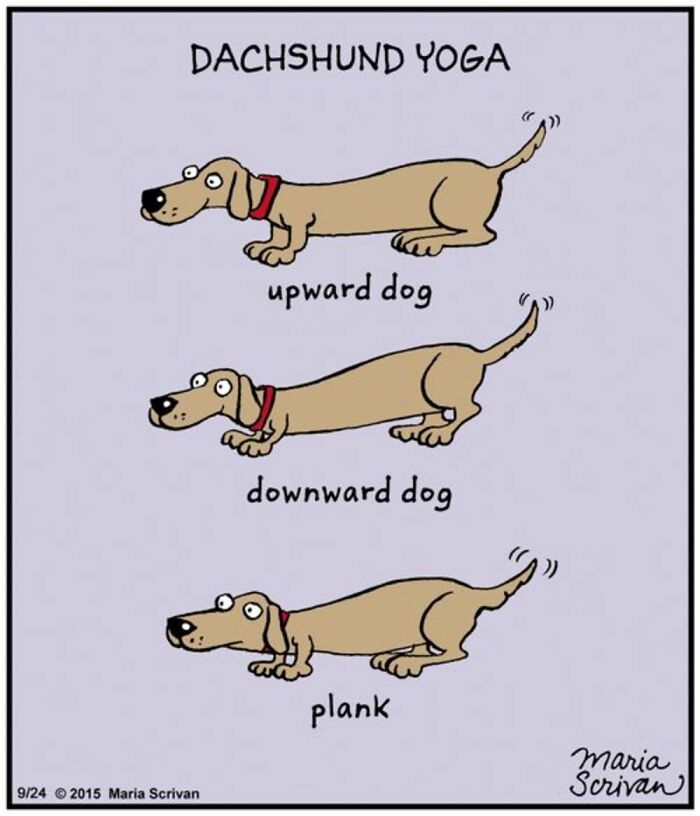 If You Have A Dog, These 42 Comics By Maria Scrivan Might Feel Surprisingly Familiar