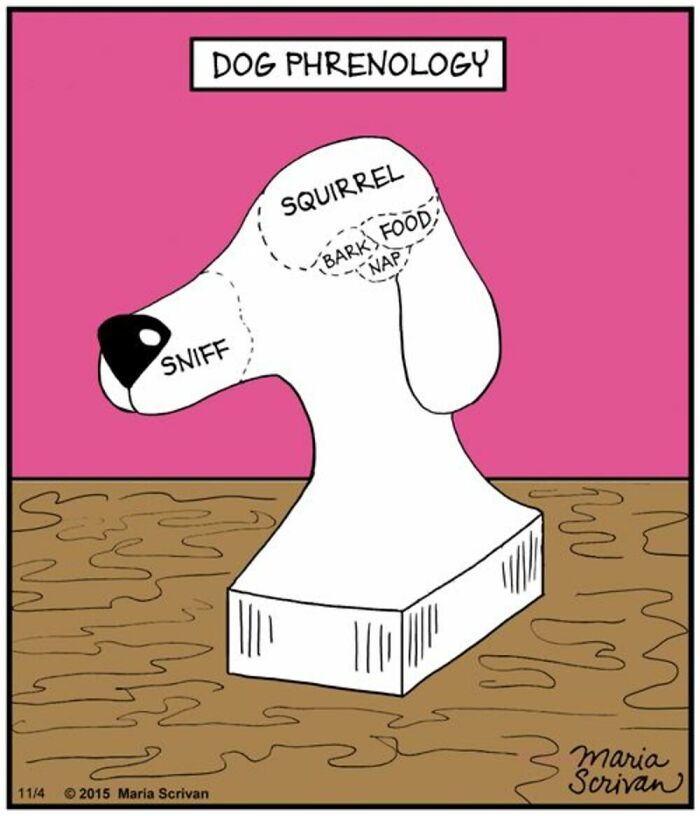 If You Have A Dog, These 42 Comics By Maria Scrivan Might Feel Surprisingly Familiar