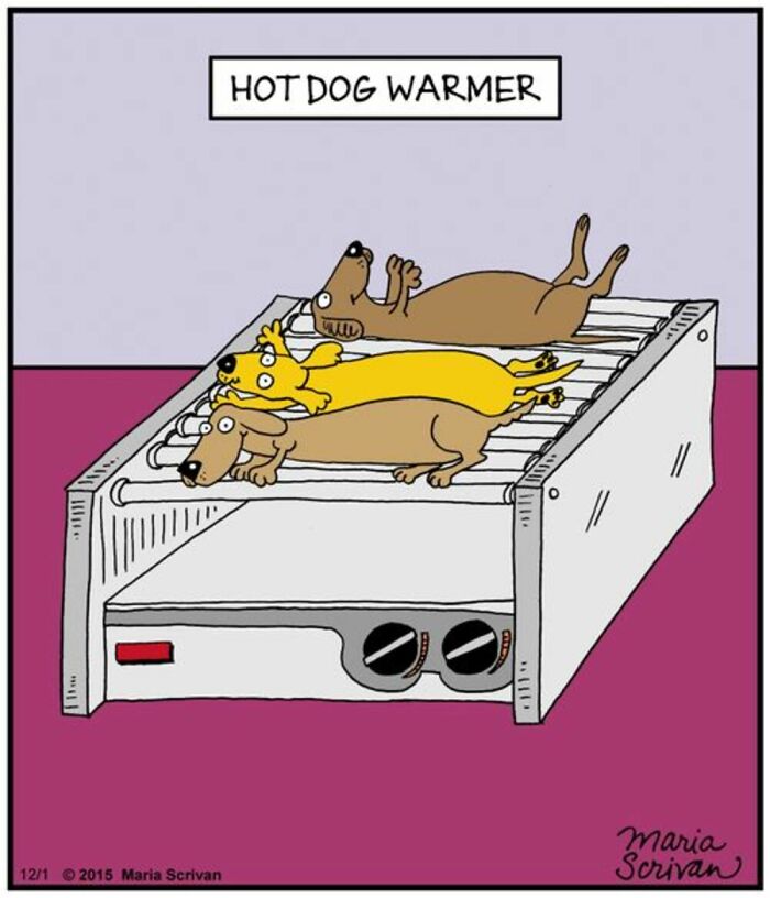 If You Have A Dog, These 42 Comics By Maria Scrivan Might Feel Surprisingly Familiar