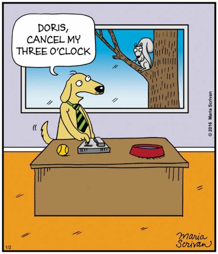 If You Have A Dog, These 42 Comics By Maria Scrivan Might Feel Surprisingly Familiar