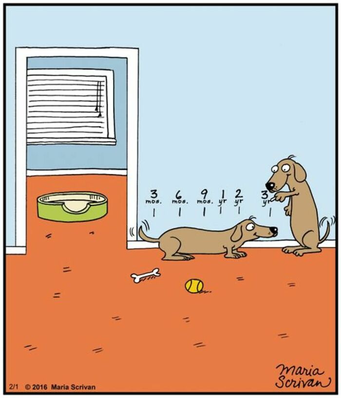 If You Have A Dog, These 42 Comics By Maria Scrivan Might Feel Surprisingly Familiar