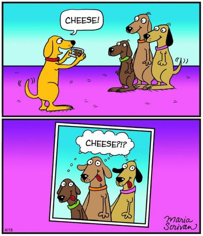 If You Have A Dog, These 42 Comics By Maria Scrivan Might Feel Surprisingly Familiar