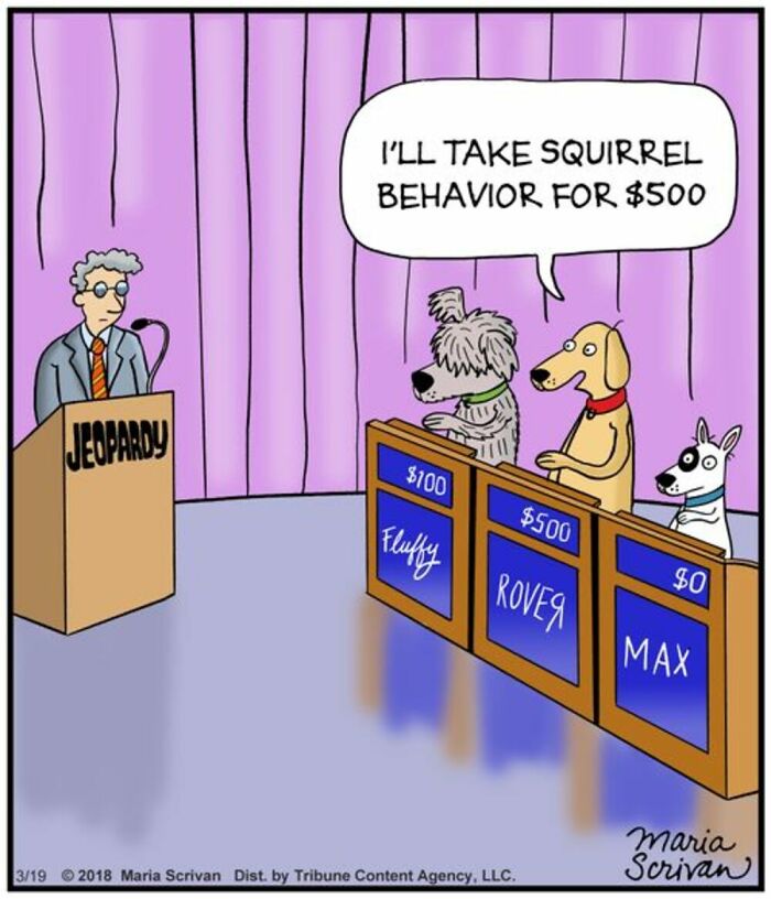 If You Have A Dog, These 42 Comics By Maria Scrivan Might Feel Surprisingly Familiar
