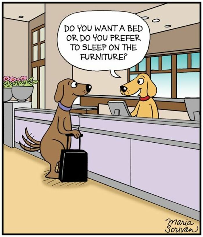 If You Have A Dog, These 42 Comics By Maria Scrivan Might Feel Surprisingly Familiar