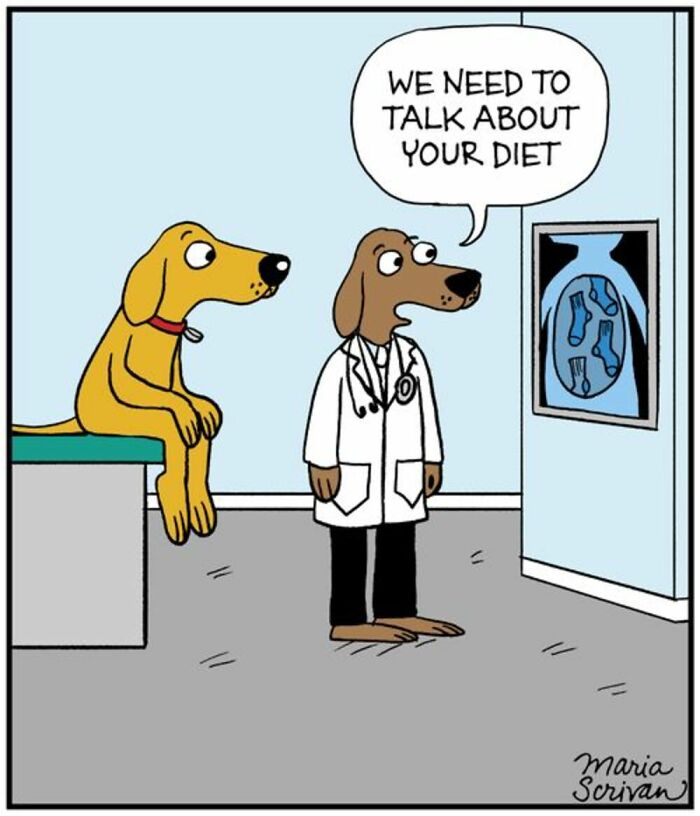 If You Have A Dog, These 42 Comics By Maria Scrivan Might Feel Surprisingly Familiar