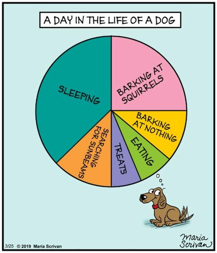 If You Have A Dog, These 42 Comics By Maria Scrivan Might Feel Surprisingly Familiar