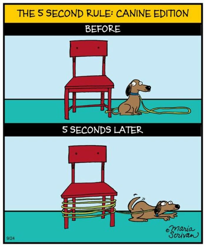 If You Have A Dog, These 42 Comics By Maria Scrivan Might Feel Surprisingly Familiar