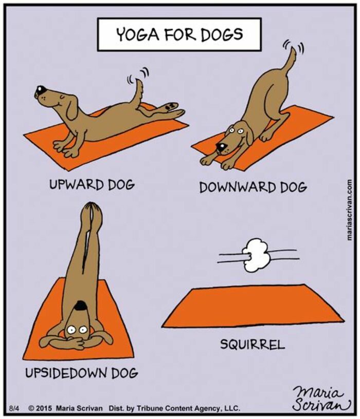 If You Have A Dog, These 42 Comics By Maria Scrivan Might Feel Surprisingly Familiar