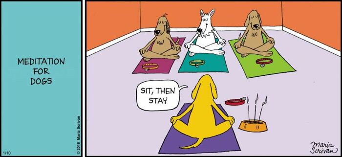 If You Have A Dog, These 42 Comics By Maria Scrivan Might Feel Surprisingly Familiar
