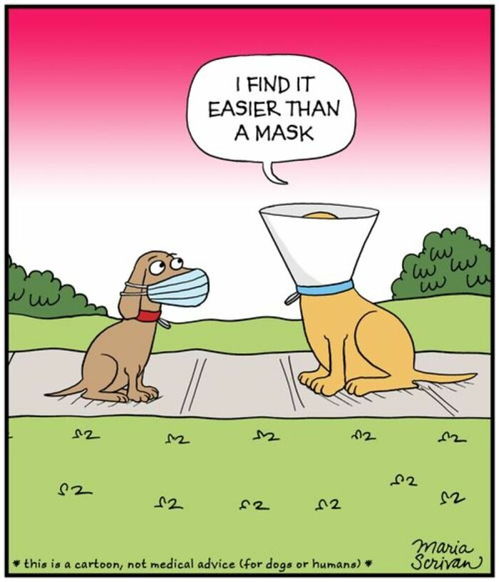 If You Have A Dog, These 42 Comics By Maria Scrivan Might Feel Surprisingly Familiar