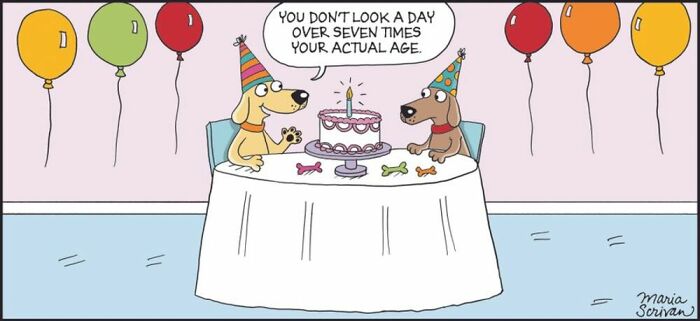 If You Have A Dog, These 42 Comics By Maria Scrivan Might Feel Surprisingly Familiar